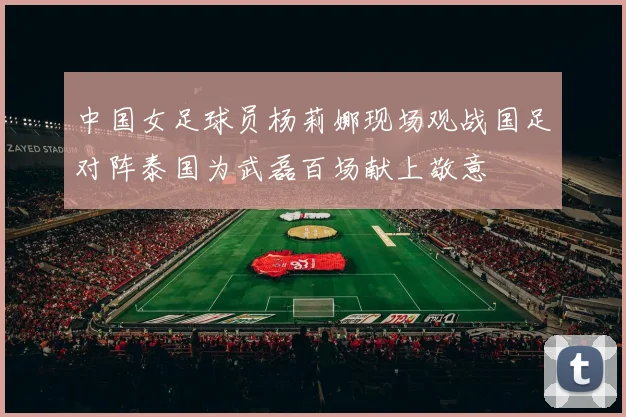 中国女足球员杨莉娜现场观战国足对阵泰国为武磊百场献上敬意