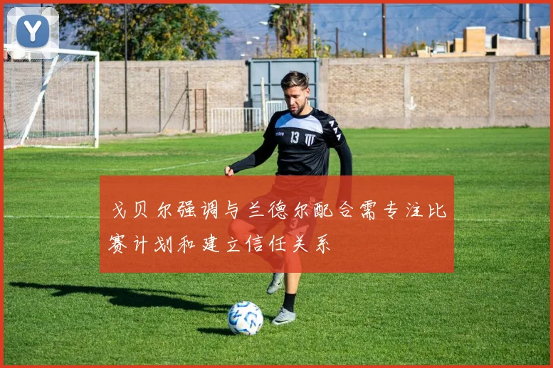 戈贝尔强调与兰德尔配合需专注比赛计划和建立信任关系